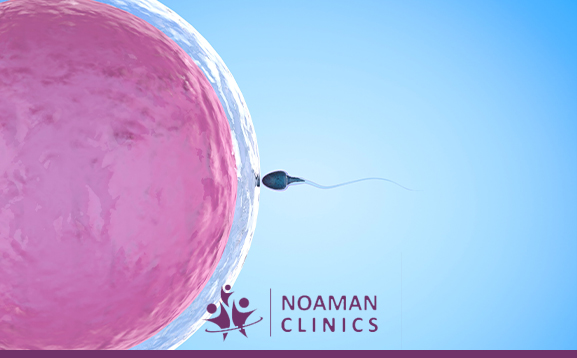 الفرق بين الحقن المجهري وأطفال الأنابيب